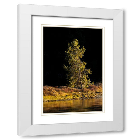 Tree on shoreline of Snake River at sunset-Grand Teton National Park-Wyoming White Modern Wood Framed Art Print with Double Matting by Jones, Adam