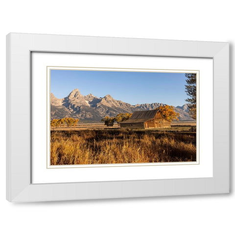 Moulton barn at sunrise and Teton Range-Grand Teton National Park-Wyoming White Modern Wood Framed Art Print with Double Matting by Jones, Adam