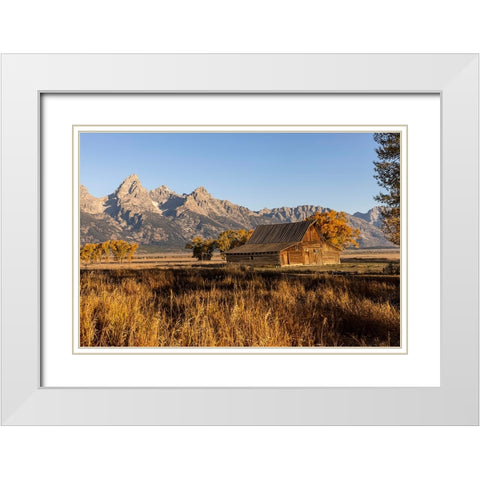 Moulton barn at sunrise and Teton Range-Grand Teton National Park-Wyoming White Modern Wood Framed Art Print with Double Matting by Jones, Adam