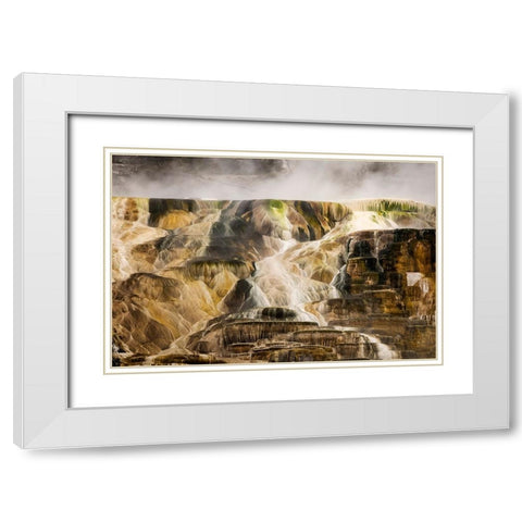 Colorful travertine slope with yellow and brown cyanobacteria-Mammoth Hot Springs White Modern Wood Framed Art Print with Double Matting by Jones, Adam