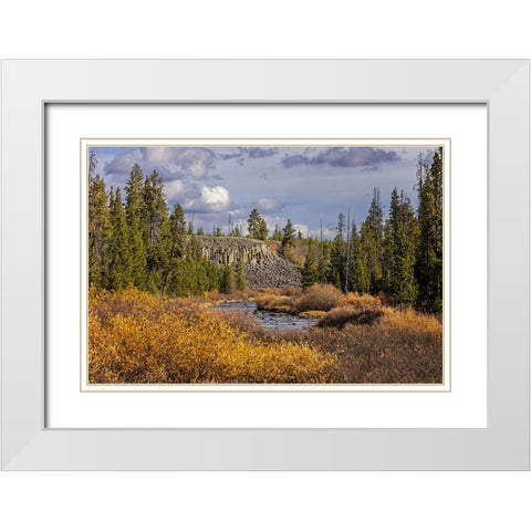 Columnar basalt formation at Sheepeater Cliffs-Yellowstone National Park-Wyoming White Modern Wood Framed Art Print with Double Matting by Jones, Adam