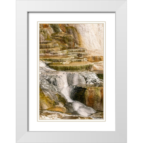 Canary Spring terraces at sunrise-Mammoth Hot Springs-Yellowstone National Park-Wyoming White Modern Wood Framed Art Print with Double Matting by Jones, Adam