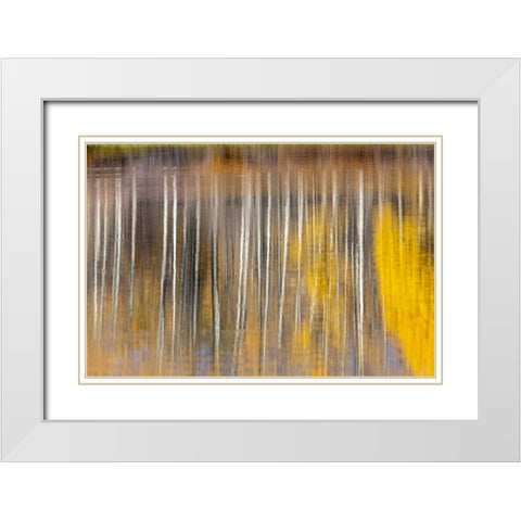 Autumn aspens abstract reflection at Oxbow Bend-Grand Teton National Park-Wyoming White Modern Wood Framed Art Print with Double Matting by Jones, Adam