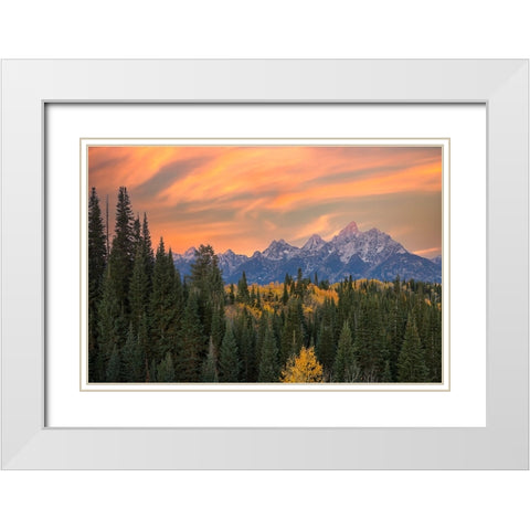 Golden aspen trees and Teton Range in early morning-Grand Teton National Park-Wyoming White Modern Wood Framed Art Print with Double Matting by Jones, Adam