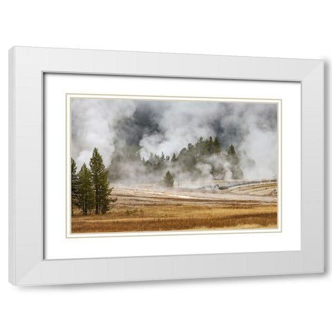 Grasses and mist in autumn meadow-Upper Geyser Basin-Yellowstone National Park-Wyoming White Modern Wood Framed Art Print with Double Matting by Jones, Adam
