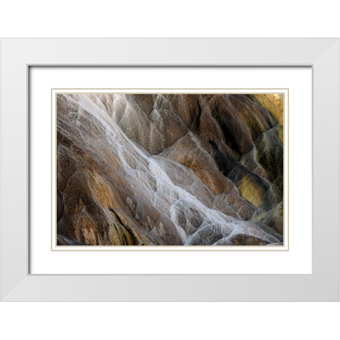 Colorful travertine slope with yellow and brown cyanobacteria-Mammoth Hot Springs White Modern Wood Framed Art Print with Double Matting by Jones, Adam
