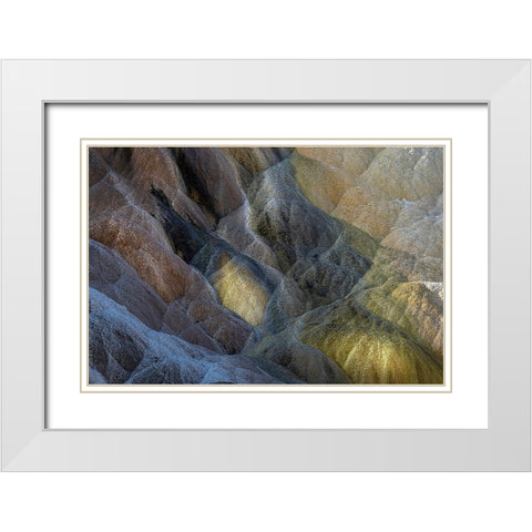 Colorful travertine slope with yellow and brown cyanobacteria-Mammoth Hot Springs White Modern Wood Framed Art Print with Double Matting by Jones, Adam
