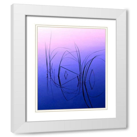 WY, Grand Tetons Reeds in a shallow pond White Modern Wood Framed Art Print with Double Matting by Kelley, David