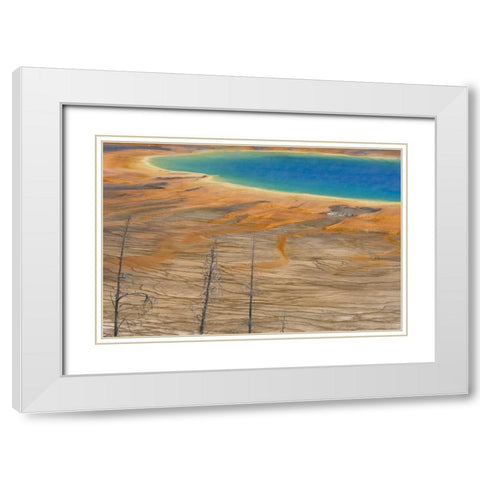 WY, Yellowstone Colorful Grand Prismatic Spring White Modern Wood Framed Art Print with Double Matting by Paulson, Don