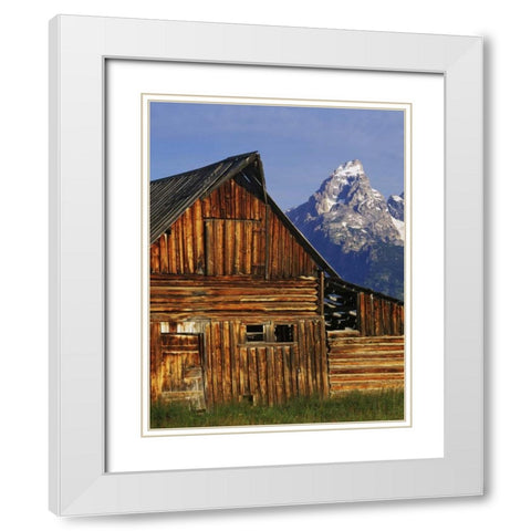 WY, Grand Tetons Dilapidated barn by Mormon Row White Modern Wood Framed Art Print with Double Matting by Flaherty, Dennis