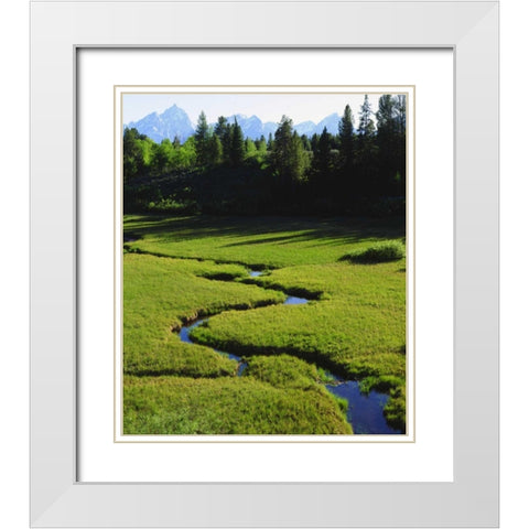 WY, Grand Tetons above a lush meadow White Modern Wood Framed Art Print with Double Matting by Talbot Frank, Christopher