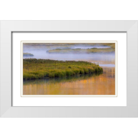 Wyoming, Yellowstone Morning at Madison River White Modern Wood Framed Art Print with Double Matting by Paulson, Don