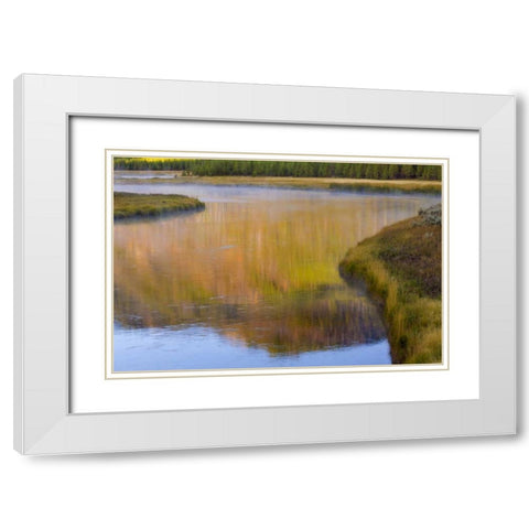 Wyoming, Yellowstone Morning at Madison River White Modern Wood Framed Art Print with Double Matting by Paulson, Don