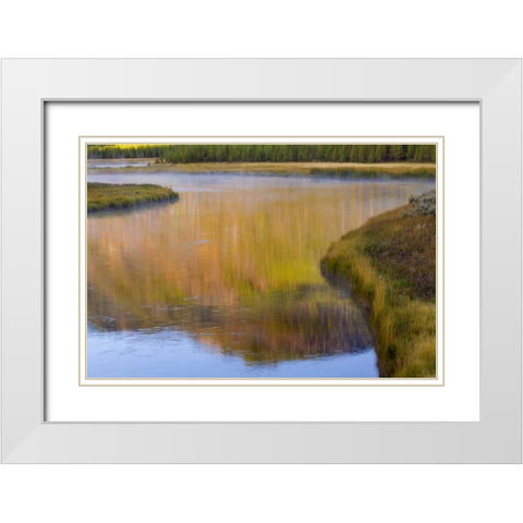 Wyoming, Yellowstone Morning at Madison River White Modern Wood Framed Art Print with Double Matting by Paulson, Don