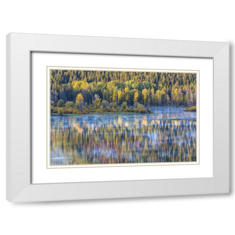 WY, Grand Tetons Swans and forest reflection White Modern Wood Framed Art Print with Double Matting by Paulson, Don