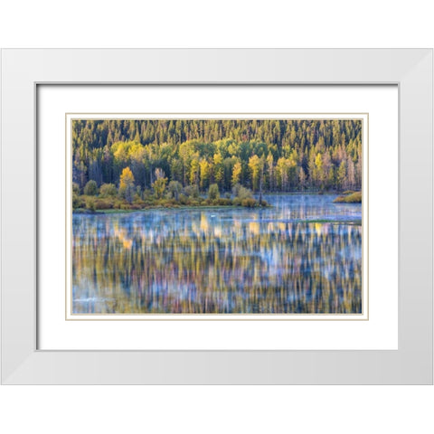 WY, Grand Tetons Swans and forest reflection White Modern Wood Framed Art Print with Double Matting by Paulson, Don