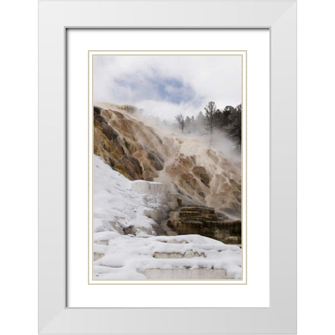 Wyoming, Yellowstone Mammoth Hot Springs scenic White Modern Wood Framed Art Print with Double Matting by Bush, Marie