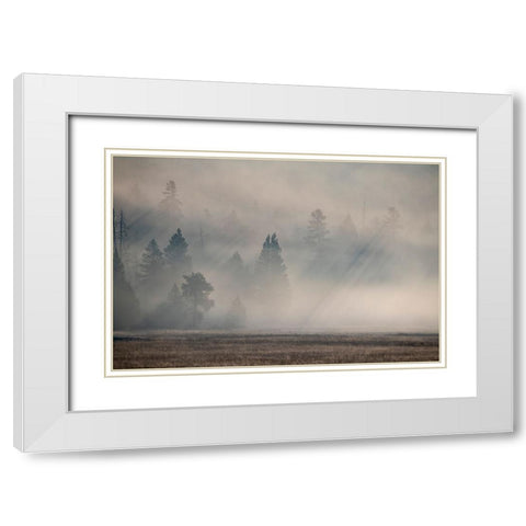 USA-Wyoming-Yellowstone National Park-Early morning fog with light rays through the trees White Modern Wood Framed Art Print with Double Matting by Hopkins, Cindy Miller