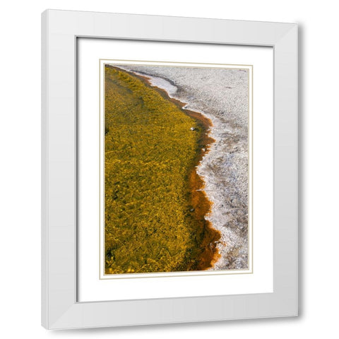 USA-Wyoming-Yellowstone National Park-Biscuit Basin-Sapphire Pool-colorful thermophile river and ba White Modern Wood Framed Art Print with Double Matting by Hopkins, Cindy Miller