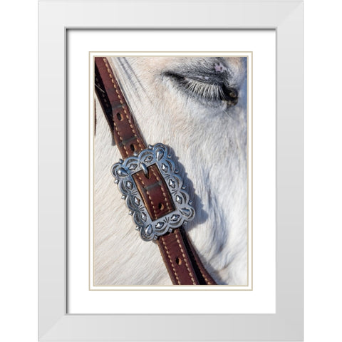 USA- Shell- Wyoming. Hideout Ranch tack on horse.  White Modern Wood Framed Art Print with Double Matting by Gulin, Darrell