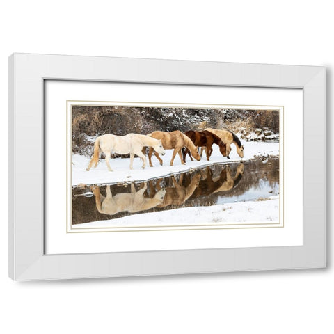 USA- Shell- Wyoming. Hideout Ranch horses in reflection Shell Creek.  White Modern Wood Framed Art Print with Double Matting by Gulin, Darrell