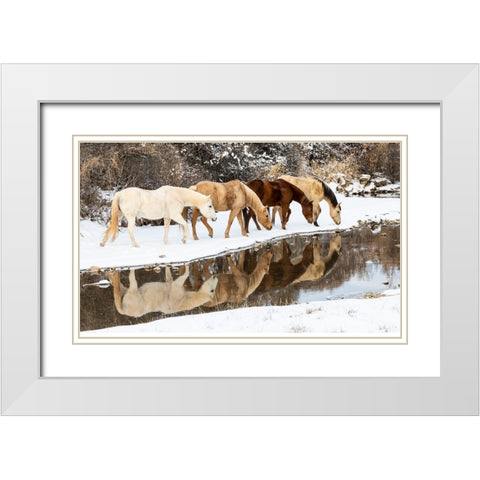USA- Shell- Wyoming. Hideout Ranch horses in reflection Shell Creek.  White Modern Wood Framed Art Print with Double Matting by Gulin, Darrell