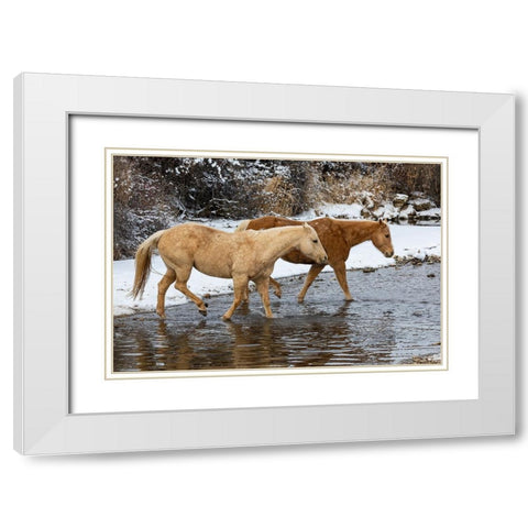 USA- Shell- Wyoming. Hideout Ranch pair of horses in snow.  White Modern Wood Framed Art Print with Double Matting by Gulin, Darrell