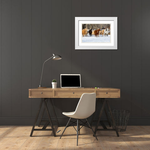 USA- Shell- Wyoming. Hideout Ranch with small herd of horses in snow.  White Modern Wood Framed Art Print with Double Matting by Gulin, Darrell