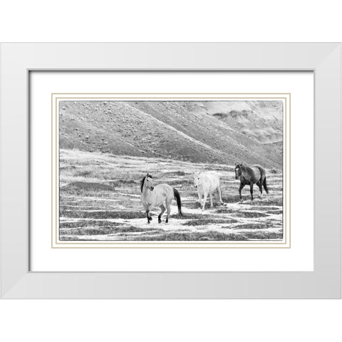USA- Shell- Wyoming. Hideout Ranch with small herd of horses in snow.  White Modern Wood Framed Art Print with Double Matting by Gulin, Darrell