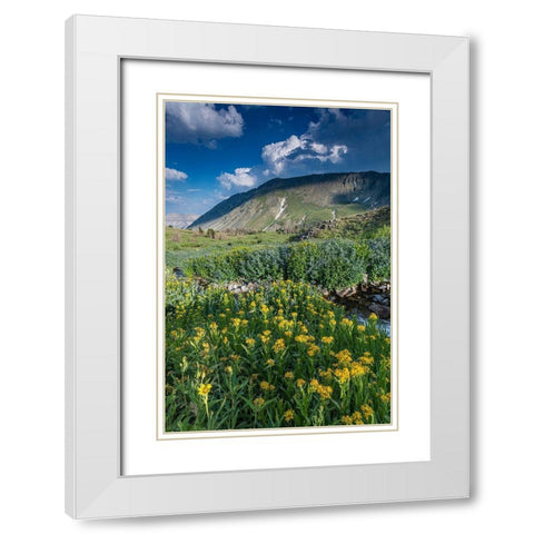 Arnica and bluebell wildflowers next to creek-Absaroka Mountains near Cody and Meeteetse-Wyoming White Modern Wood Framed Art Print with Double Matting by Garber, Howie