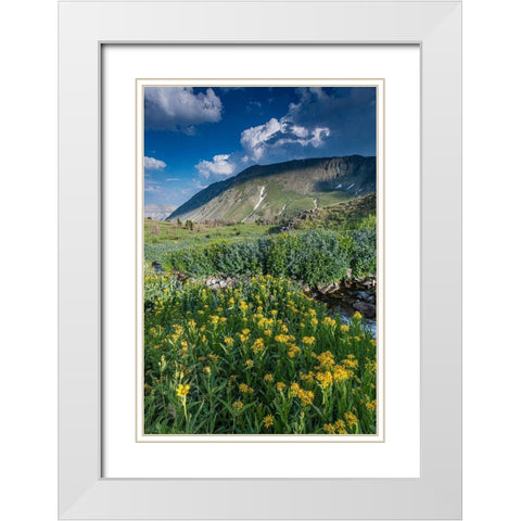 Arnica and bluebell wildflowers next to creek-Absaroka Mountains near Cody and Meeteetse-Wyoming White Modern Wood Framed Art Print with Double Matting by Garber, Howie