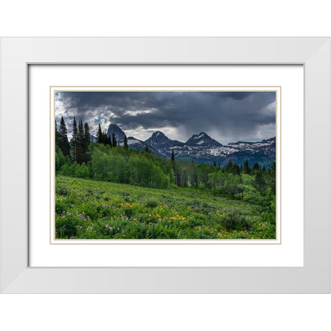USA-Wyoming-Geranium and arrowleaf balsamroot wildflowers in meadow-west side of Teton Mountains White Modern Wood Framed Art Print with Double Matting by Garber, Howie