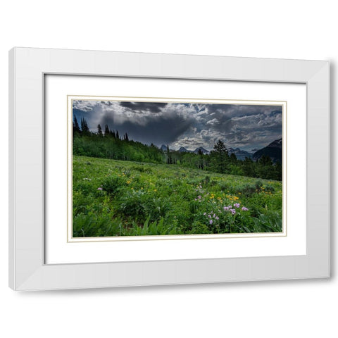 USA-Wyoming-Dramatic clouds and wildflowers in meadow west side of Teton Mountains White Modern Wood Framed Art Print with Double Matting by Garber, Howie