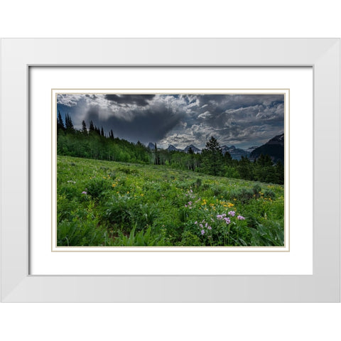 USA-Wyoming-Dramatic clouds and wildflowers in meadow west side of Teton Mountains White Modern Wood Framed Art Print with Double Matting by Garber, Howie