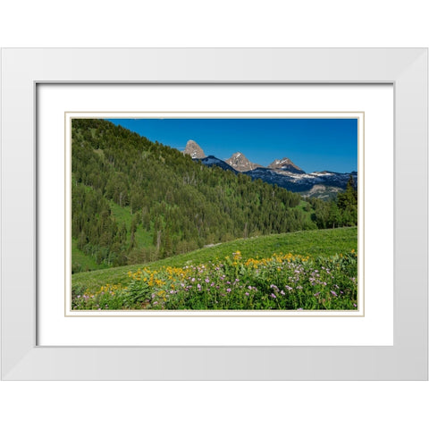USA-Wyoming-Geranium and arrowleaf balsamroot wildflowers in meadow west side of Teton Mountains-su White Modern Wood Framed Art Print with Double Matting by Garber, Howie