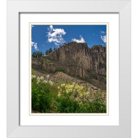 USA-Wyoming-Field of Columbine wildflowers-and mountain-Jedediah Smith Wilderness White Modern Wood Framed Art Print with Double Matting by Garber, Howie