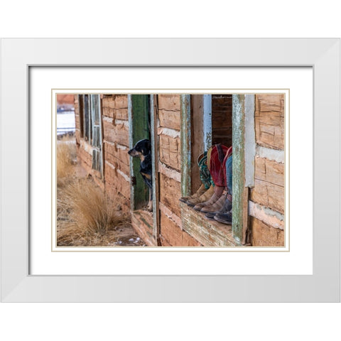 USA- Wyoming. Hideout Horse Ranch- boots on display.  White Modern Wood Framed Art Print with Double Matting by Looney, Hollice
