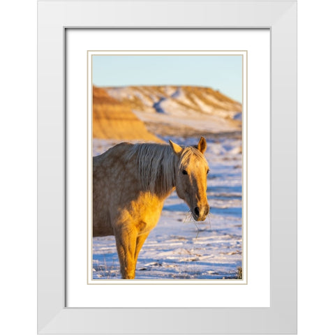 USA- Wyoming. Hideout Horse Ranch- horse in snow.  White Modern Wood Framed Art Print with Double Matting by Looney, Hollice