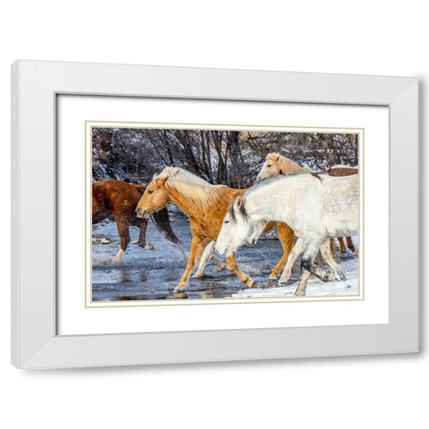 USA- Wyoming. Hideout Horse Ranch- horses crossing the stream.  White Modern Wood Framed Art Print with Double Matting by Looney, Hollice