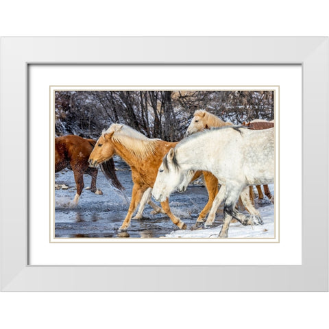 USA- Wyoming. Hideout Horse Ranch- horses crossing the stream.  White Modern Wood Framed Art Print with Double Matting by Looney, Hollice