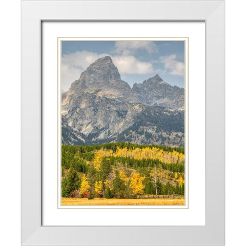 Wyoming- Grand Teton National Park. Teton Range with Grand Teton and golden Aspen trees White Modern Wood Framed Art Print with Double Matting by Wild, Jamie and Judy