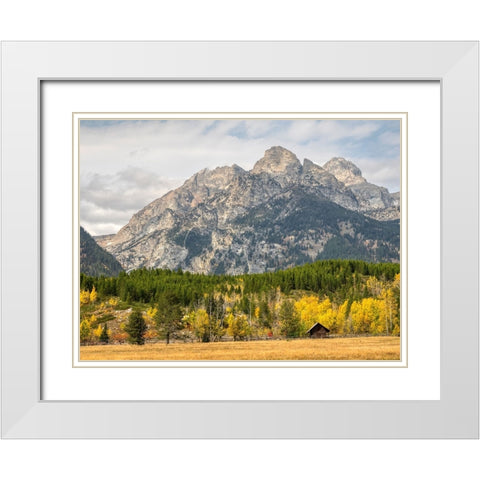 Wyoming- Grand Teton National Park. Teton Range and golden Aspen trees White Modern Wood Framed Art Print with Double Matting by Wild, Jamie and Judy