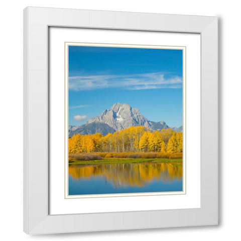 Wyoming- Grand Teton National Park. Mount Moran and golden Aspen trees White Modern Wood Framed Art Print with Double Matting by Wild, Jamie and Judy