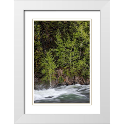 Wyoming Budding trees-La Grange Cascade-Yellowstone National Park White Modern Wood Framed Art Print with Double Matting by Zimmerman, Judith