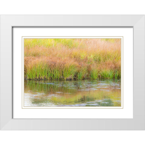Wyoming-Grand Tetons National Park waters edge Snake River and golden grasses reflected in water White Modern Wood Framed Art Print with Double Matting by Gulin, Sylvia