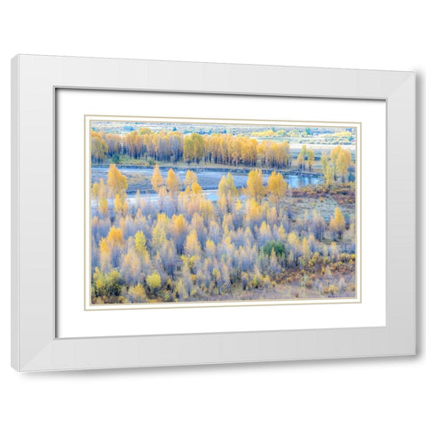 Wyoming-Buffalo Fork River and Cottonwoods in fall color White Modern Wood Framed Art Print with Double Matting by Gulin, Sylvia
