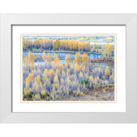 Wyoming-Buffalo Fork River and Cottonwoods in fall color White Modern Wood Framed Art Print with Double Matting by Gulin, Sylvia