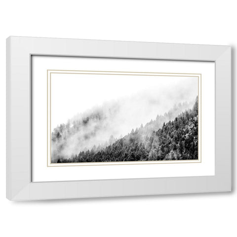 Wyoming-Hoback-clouds intermingling with evergreens on rainy morning in black and white White Modern Wood Framed Art Print with Double Matting by Gulin, Sylvia