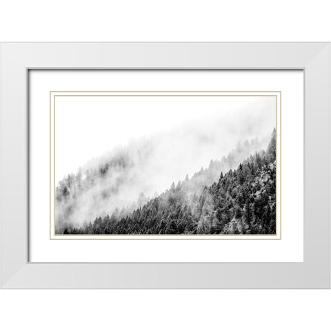 Wyoming-Hoback-clouds intermingling with evergreens on rainy morning in black and white White Modern Wood Framed Art Print with Double Matting by Gulin, Sylvia