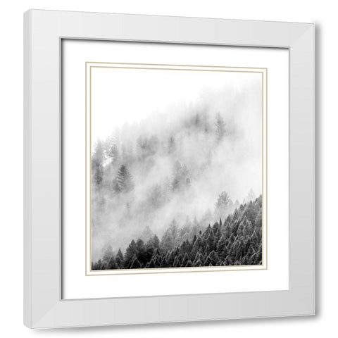 Wyoming-Hoback-clouds intermingling with evergreens on rainy morning in black and white White Modern Wood Framed Art Print with Double Matting by Gulin, Sylvia